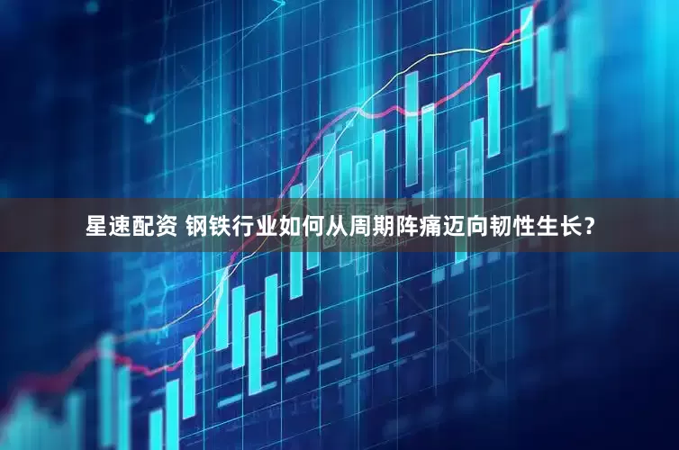 星速配资 钢铁行业如何从周期阵痛迈向韧性生长？