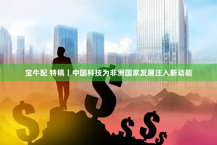 宝牛配 特稿丨中国科技为非洲国家发展注入新动能