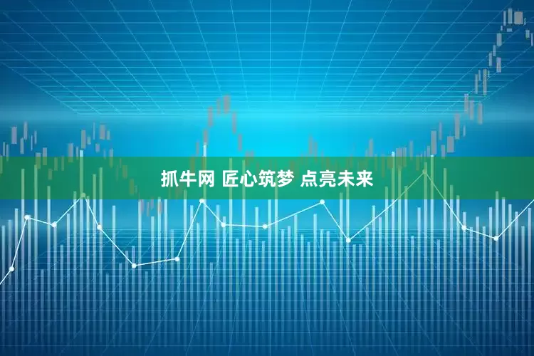 抓牛网 匠心筑梦 点亮未来