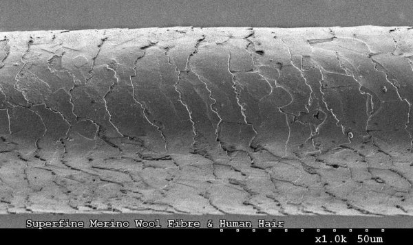 亿策略 洗完头后，自然风干好，还是吹干好？大部分人都做错了！