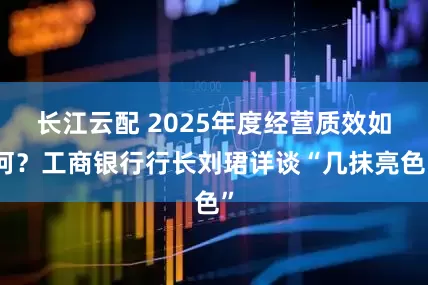 长江云配 2025年度经营质效如何?工商银行行长刘珺详谈“几抹亮色”
